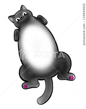 Big belly fat cat Big belly fat cat 134044920