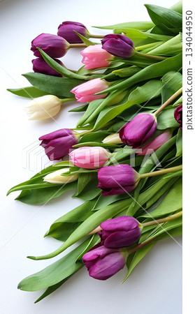 Spring floral arrangement of purple, pink, and white tulips on white background, symbolizing renewal and celebration. Spring floral arrangement of purple, pink, and white tulips on white background, symbolizing renewal and celebration. 134044950