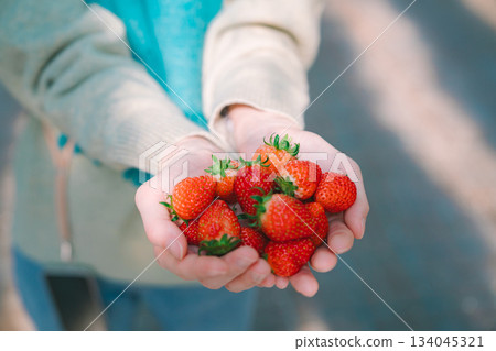 Strawberry picking strawberries Strawberry picking strawberries 134045321