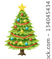 Christmas tree illustration 134045434