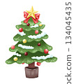 Christmas tree illustration 134045435