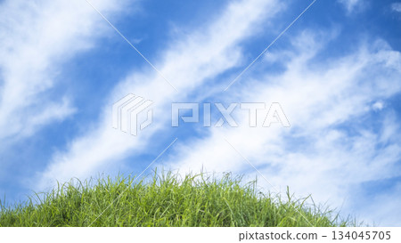 夏日的草和清爽的夏日天空,蒜山高原 夏日的草和清爽的夏日天空,蒜山高原 134045705