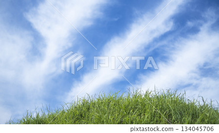 Summer grass and a refreshing summer sky, Hiruzen Highlands Summer grass and a refreshing summer sky, Hiruzen Highlands 134045706