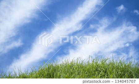 Summer grass and a refreshing summer sky, Hiruzen Highlands Summer grass and a refreshing summer sky, Hiruzen Highlands 134045707