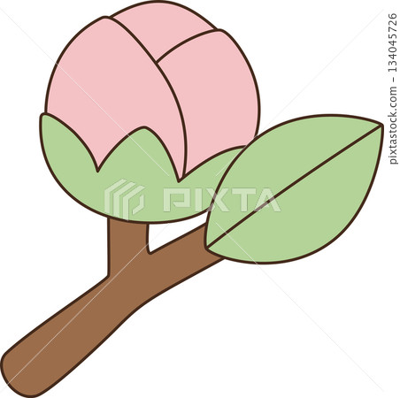 Cute Cartoon Pink Peony Flower Bud on Branch Illustration 134045726