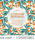 Colorful background with sea buckthorn twigs and berries. The concept of autumn, tea drinking. Vector illustration for the design of posters, flyers, postcards and invitations 134045861