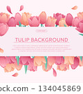 Colorful background with delicate tulips. The concept of a holiday, spring, women's day, Valentine's day. Vector illustration for the design of posters, flyers, postcards and invitations 134045869