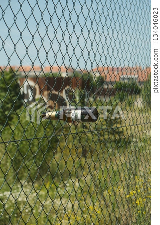 Glass Bottle Suspended On Wire Mesh 134046023