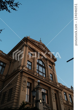 Ornate Historical Building Architectural Detail Exterior 134046051