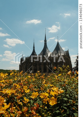 Golden Blooms Framing Historic Cathedral Architecture 134046073