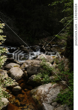 Rocky Cascade Amidst Lush Green Foliage 134046084