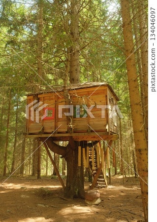 Rustic Woodland Treehouse Retreat Among Green Pines 134046097