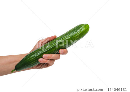 Hand holding a long cucumber with green skin in a bright setting Hand holding a long cucumber with green skin in a bright setting 134046181
