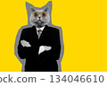 Abstract modern collage. The man with the head of funny cat businessman standing with arms folded with bitcoin eyes isolated on yellow background 134046610