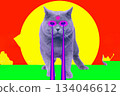 Cat with lasers from eyes. Minimal collage fashion concept 134046612