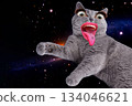 Contemporary art collage. Surreal magazine template banner collage of freak cat freak and human stick tongue out against the backdrop of a nasa photo 134046621