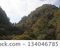 Yabakei Eight Views at a Glance, Nakatsu City, Oita Prefecture 134046785