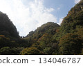 Yabakei Eight Views at a Glance, Nakatsu City, Oita Prefecture 134046787