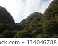 Yabakei Eight Views at a Glance, Nakatsu City, Oita Prefecture 134046788