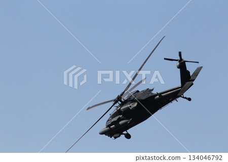 Japan Air Self-Defense Force Nyutabaru Base Air Festival 2025 134046792