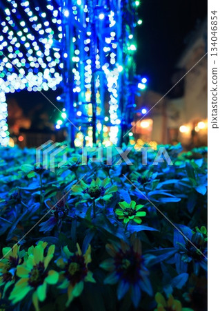 Blue Illumination 134046854