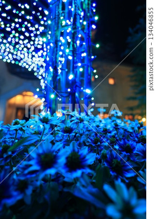 Blue Illumination 134046855