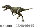Nanotyrannus 134046945
