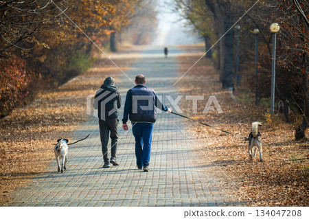 Yerevan Armenia 10.25.2025. A man and a woman are walking their dogs down a path Yerevan Armenia 10.25.2025. A man and a woman are walking their dogs down a path 134047208