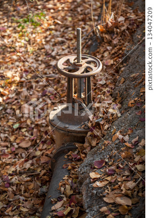 A rusty valve is sitting on a pile of leaves 134047209