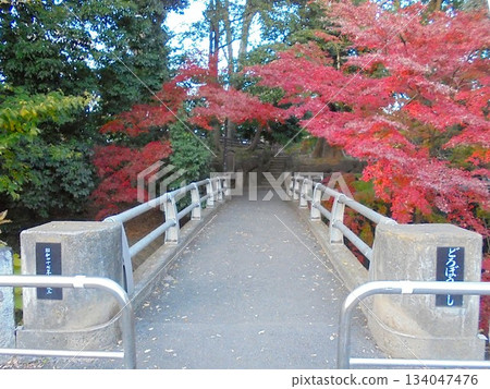 Kitain Temple Thief Bridge Kitain Temple Thief Bridge 134047476