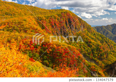 Nakamiya Shrine, Nikko City, Tochigi Prefecture: A view of Byobuiwa Rock and the autumn foliage on the mountain slopes from the First Irohazaka 134047579