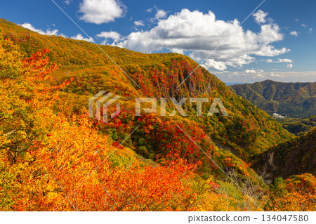 栃木縣日光市仲宮神社：從第一伊呂波坂眺望屏風岩和山坡上的秋葉 134047580