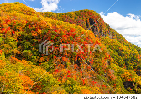 Nakamiya Shrine, Nikko City, Tochigi Prefecture: A view of Byobuiwa Rock and the autumn foliage on the mountain slopes from the First Irohazaka 134047582
