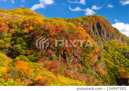 Nakamiya Shrine, Nikko City, Tochigi Prefecture: A view of Byobuiwa Rock and the autumn foliage on the mountain slopes from the First Irohazaka Nakamiya Shrine, Nikko City, Tochigi Prefecture: A view of Byobuiwa Rock and the autumn foliage on the mountain slopes from the First Irohazaka 134047583