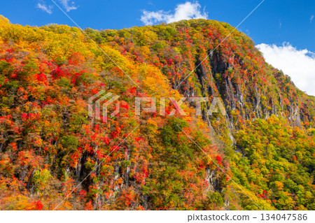 Nakamiya Shrine, Nikko City, Tochigi Prefecture: A view of Byobuiwa Rock and the autumn foliage on the mountain slopes from the First Irohazaka 134047586