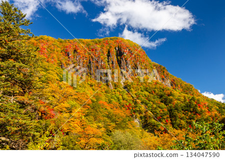栃木縣日光市仲宮神社：從第一伊呂波坂眺望屏風岩和山坡上的秋葉 134047590