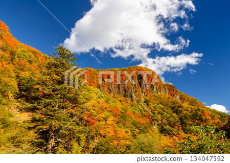 Nakamiya Shrine, Nikko City, Tochigi Prefecture: A view of Byobuiwa Rock and the autumn foliage on the mountain slopes from the First Irohazaka 134047592