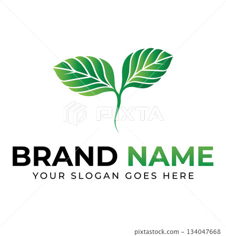 Leaf logo vector illustrations design icon template 134047668