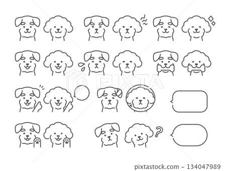 Toy poodle and schnauzer facial expression set Toy poodle and schnauzer facial expression set 134047989