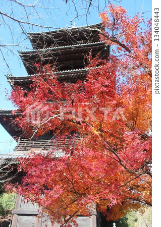 2025年12月初冬，岡山縣總社市【備中國分寺】_ OSCKOBU_020 134048443