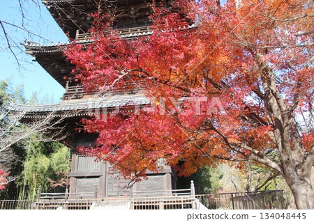 2025年12月初冬_岡山縣總社市[備中國分寺]_OSCKOBU_022 134048445