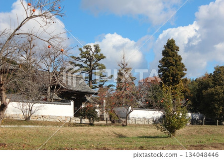 2025年12月初冬_岡山縣總社市[備中國分寺]_OSCKOBU_023 134048446