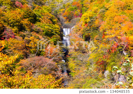 栃木縣日光市仲宮神社－從第一伊呂波坂坡的劍賀礦展望台眺望寶道瀑布及寶道上游防蝕壩的秋葉 134048535