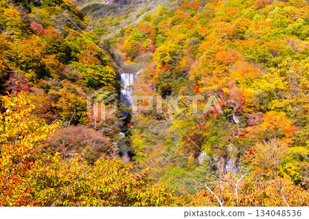 Nakamiya Shrine, Nikko City, Tochigi Prefecture - View of the Todo Falls and autumn foliage on the Todo upstream erosion control dam from the Tsurugi-ga-mine Observatory on the First Irohazaka Slope 134048536