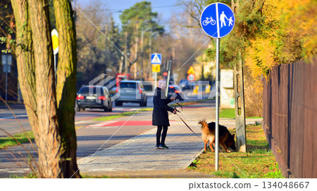 Quiet street in a residential area in the suburbs. Sidewalk and bike path. Quiet street in a residential area in the suburbs. Sidewalk and bike path. 134048667