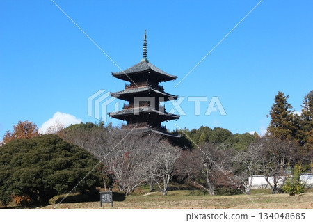 Early winter, December 2025_Soja City, Okayama Prefecture [Bicchu Kokubunji Temple]_OSCKOBU_011 134048685