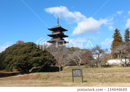 2025年12月初冬_岡山縣總社市[備中國分寺]_OSCKOBU_026 134048689