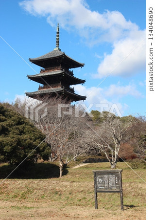 2025年12月初冬_岡山縣總社市[備中國分寺]_OSCKOBU_027 134048690