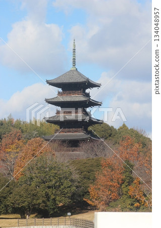 Early winter, December 2025_Soja City, Okayama Prefecture [Bicchu Kokubunji Temple]_OSCKOBU_001 134048957