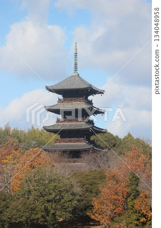 Early winter, December 2025, Soja City, Okayama Prefecture [Bicchu Kokubunji Temple] _ OSCKOBU_002 134048958